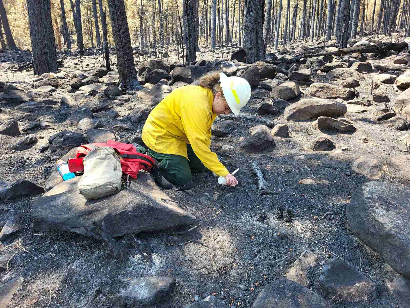A soil scientist in a yellow Nomex shirt, green trousers and a white hard hat kneels on blackened ground in a burned pine forest, reaching out with a small hand tool to examine ash and a charred branch. A red pack and a tan gear bag rest on a boulder beside her, and scorched tree trunks and dark rocks cover the slope behind.