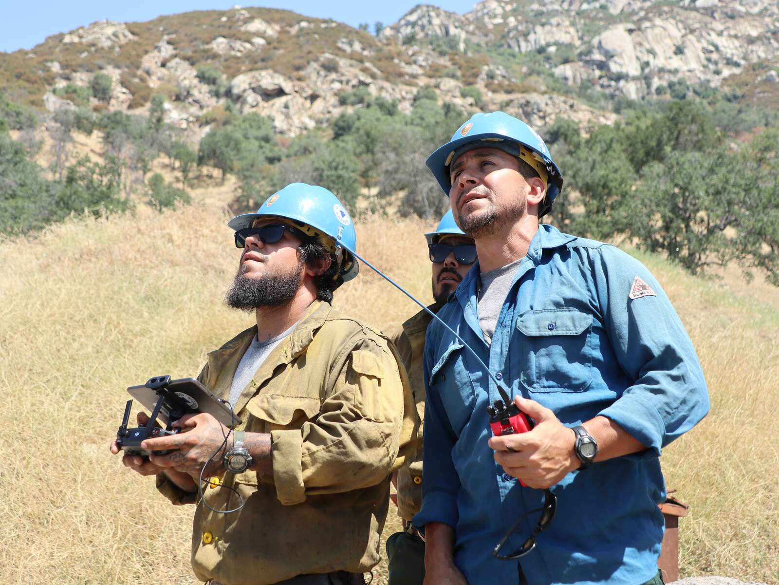 Three wildland firefighters in blue hard hats and sunglasses stand in dry grass on a rocky, oak-covered hillside, all looking up at the sky at something out of frame. The man in front holds a drone controller with a tablet clipped to it and a thin antenna angled upward; the man beside him holds a red handheld radio.